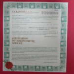 ROLGA-79174-6
