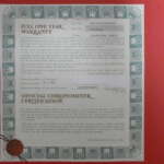 Rolex-Garanti-1
